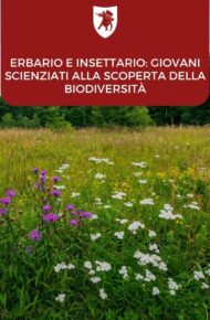 Erbario e insettario giovani scienziati alla scoperta della biodiversità